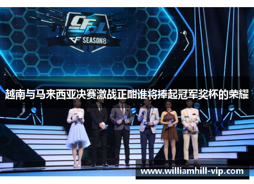 越南与马来西亚决赛激战正酣谁将捧起冠军奖杯的荣耀